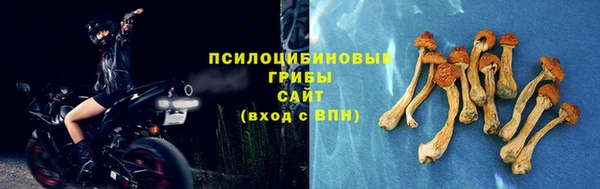 spice Алексеевка