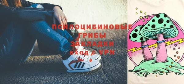 тгк Алексин