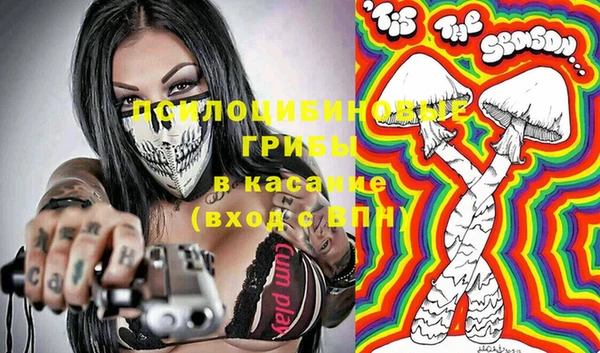 тгк Алексин