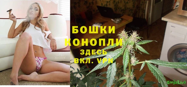 дмт Арсеньев