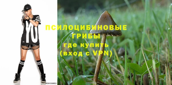 spice Алексеевка